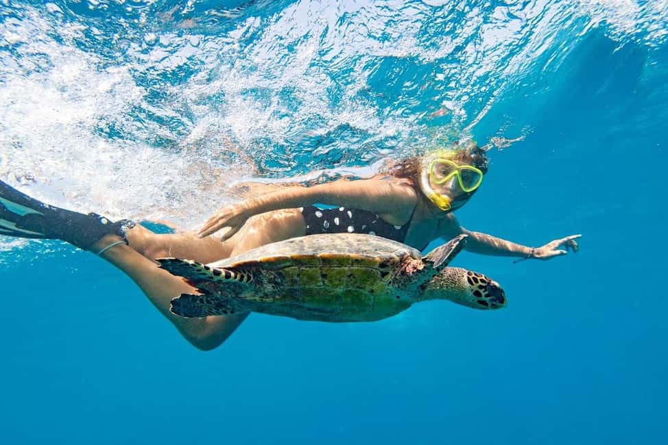 Marsa Alam: Snorkeling with Sea Turtles Marsa Mubarak - Why Marsa Mubarak is worth your day from Marsa Alam