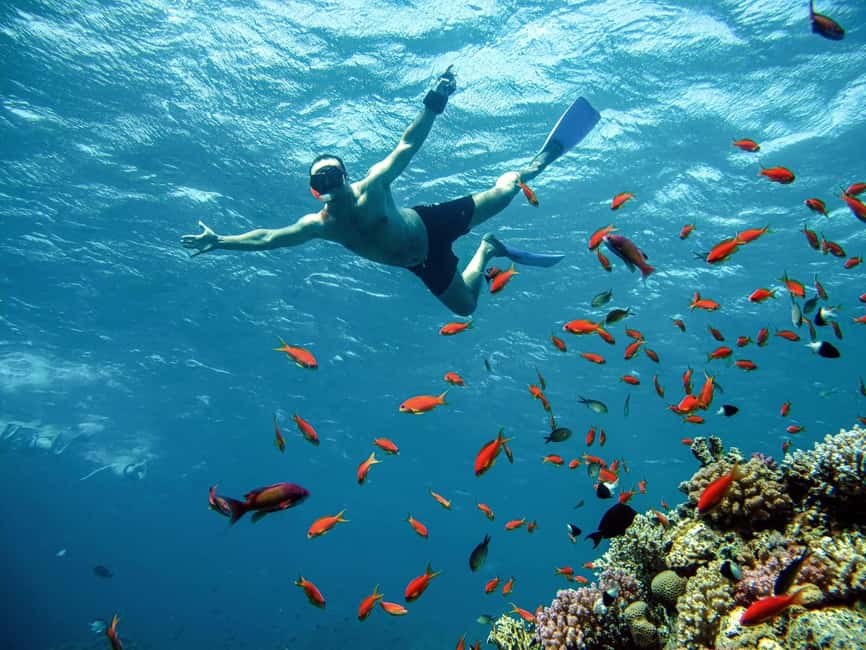 Marsa Alam: Snorkeling with Sea Turtles Marsa Mubarak - How the boat time works: deck breaks, lunch, and drinks
