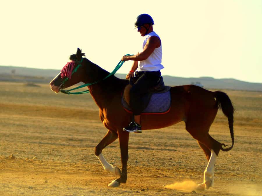 Marsa Alam: Sunrise Horseback with Breakfast - The morning start at the stables (and what to expect before you ride)
