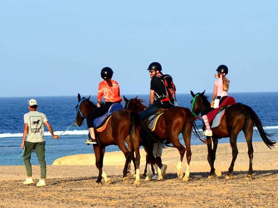 Marsa Alam: Sunrise Horseback with Breakfast - What the 2-hour sunrise ride feels like: desert trails + sea views