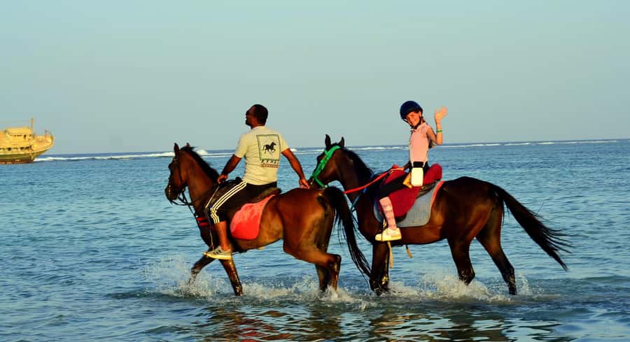 Marsa Alam: Sunrise Horseback with Breakfast - VIP 4-hour option: the Red Sea horse swim stop