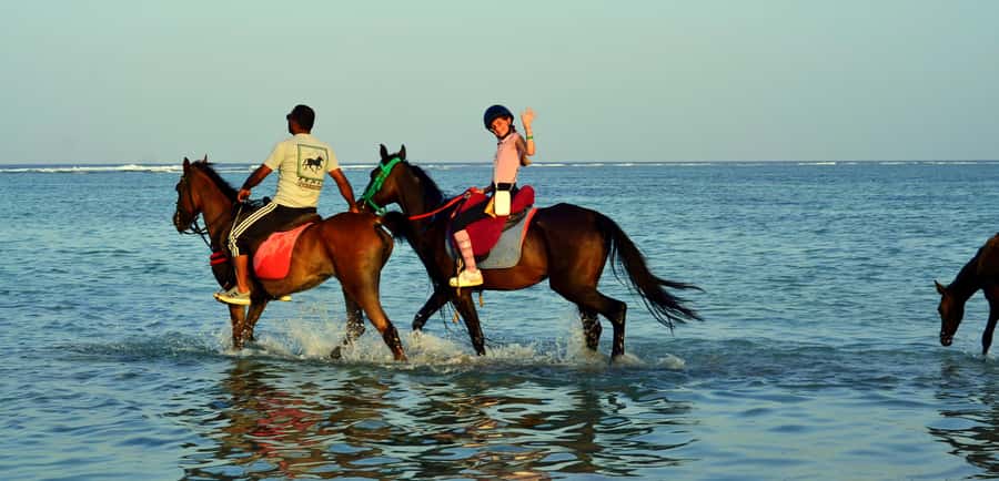 Marsa Alam: Sunrise Horseback with Breakfast - Safety, limits, and who should skip horseback riding