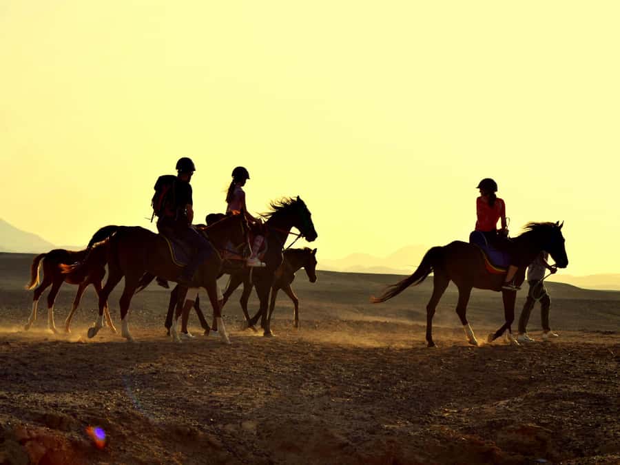 Marsa Alam: Sunrise Horseback with Breakfast - Ride length and pickup options: what to choose