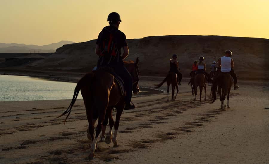 Marsa Alam: Sunset Horseback with Dinner, Show & Stargazing - Should you book it?