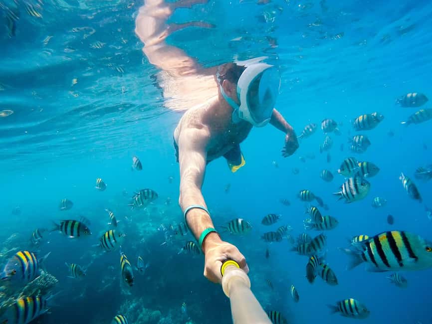Marsa Alam:Sataya Reefs Dolphin Snorkeling Cruise with Lunch - Two guided snorkeling sessions: More time in the right water
