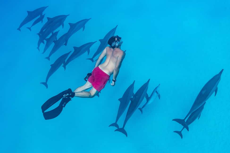 Marsa Alam:Sataya Reefs Dolphin Snorkeling Cruise with Lunch - Boat comfort and the buffet lunch: Staying human on a long day