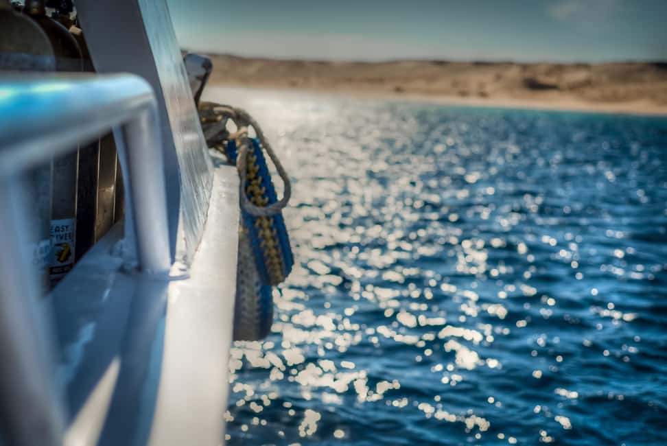 Marsa Alam:Sataya Reefs Dolphin Snorkeling Cruise with Lunch - Snorkeling equipment and safety rules you should take seriously