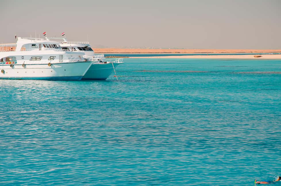 Marsa Alam:Sataya Reefs Dolphin Snorkeling Cruise with Lunch - What to pack: Small items that prevent big annoyances