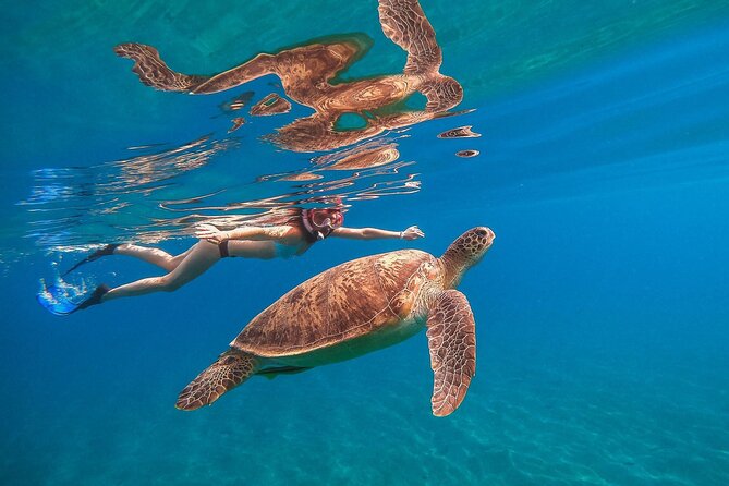 Marsa Mubarak Snorkeling Sea Trip & Transfer & Lunch – Marsa Alam - Key things to know before you go