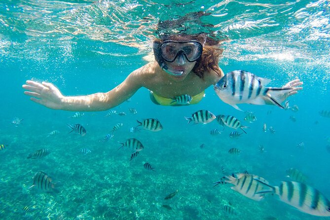 Marsa Mubarak Snorkeling Sea Trip & Transfer & Lunch – Marsa Alam - Snorkeling at Marsa Mubarak Coral Reefs: what you’ll do underwater