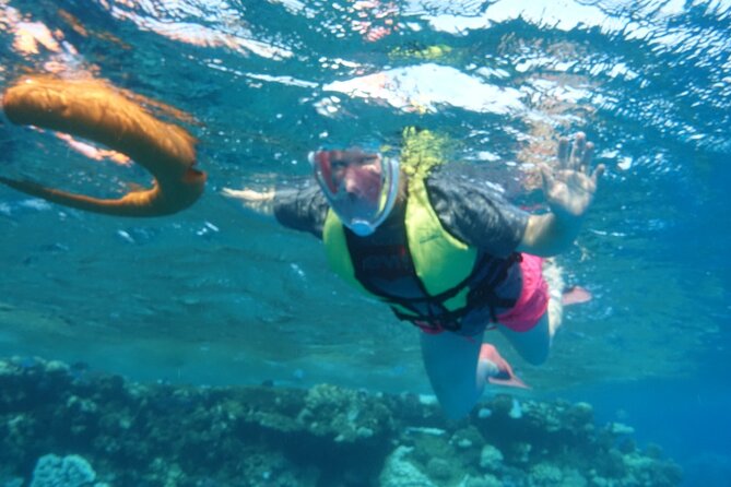 Marsa Mubarak Snorkeling Sea Trip & Transfer & Lunch – Marsa Alam - The guide factor: why Mustafa’s name keeps showing up
