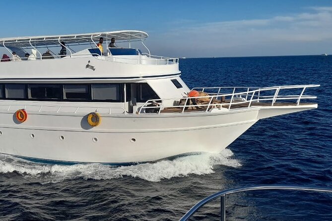 Marsa Mubarak Snorkeling Sea Trip & Transfer & Lunch – Marsa Alam - National park fees: the small extra cost you must plan for