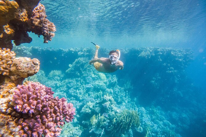 Marsa Mubarak Snorkeling Sea Trip & Transfer & Lunch – Marsa Alam - Group size and how it affects your experience