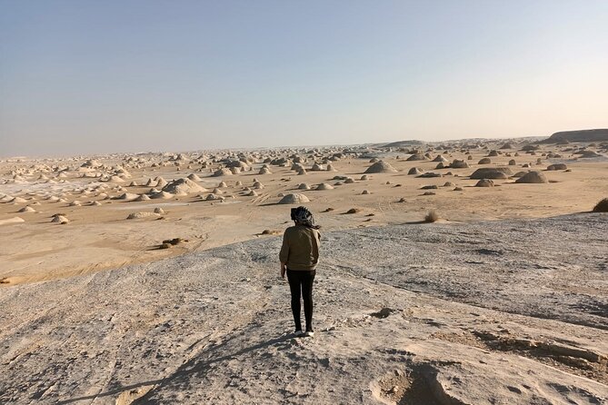 Marvel 10 Day to Giza Pyramids ,White desert ,Nile Cruise & Hotel - Breakfast, recovery time, then an overnight train to Aswan