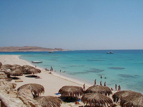 Meet the dolphins in snorkeling tour - Dolphin House in Sharb el Erg: The Real Point of the Day