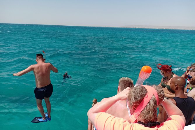 Meet the dolphins in snorkeling tour - Dolphins Up Close: What You Can Control and What You Can’t