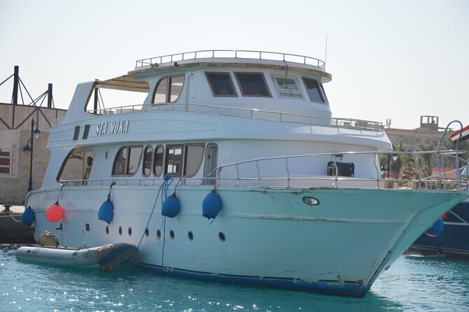 Meet the dolphins in snorkeling tour - Should You Book the Meet the Dolphins Snorkeling Tour from Hurghada?