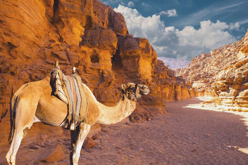 Moses Mountain & Saint Catherine from Dahab - Saint Catherine Monastery After the Descent: Ancient Manuscripts and the Moses Connection