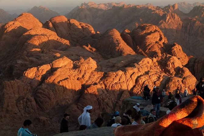 Mount Sinai & St.Catherine Monastery - A quick reality check on the timing: sunrise vs day options