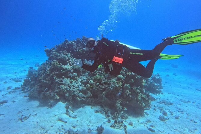 Moving Underwater 2 professional diving with lunch - How the day runs in plain terms (Hurghada, 8:00 am to early afternoon)