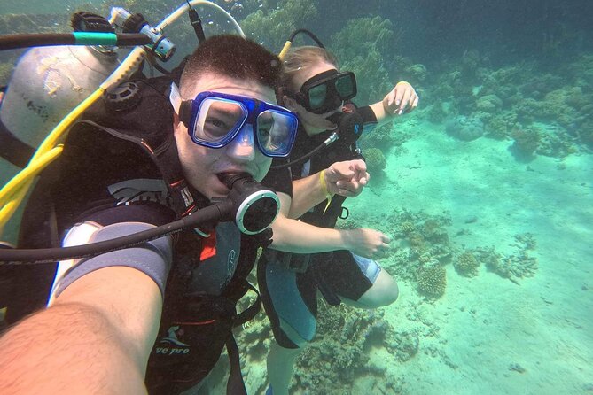 Moving Underwater 2 professional diving with lunch - Spot 1: coral reef scenery and fish you can actually name