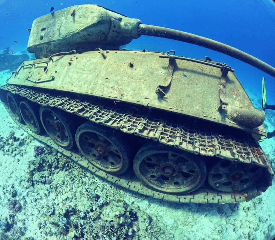 Museum Diving Experience in the Red Sea - What you’ll see underwater: tanks, helicopters, planes, and the reef