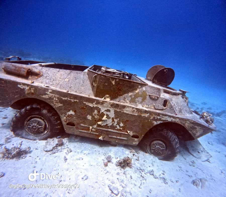 Museum Diving Experience in the Red Sea - Safety and instruction: how the crew supports beginners