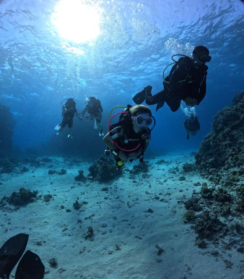 Museum Diving Experience in the Red Sea - Price in real terms: what $61 buys you