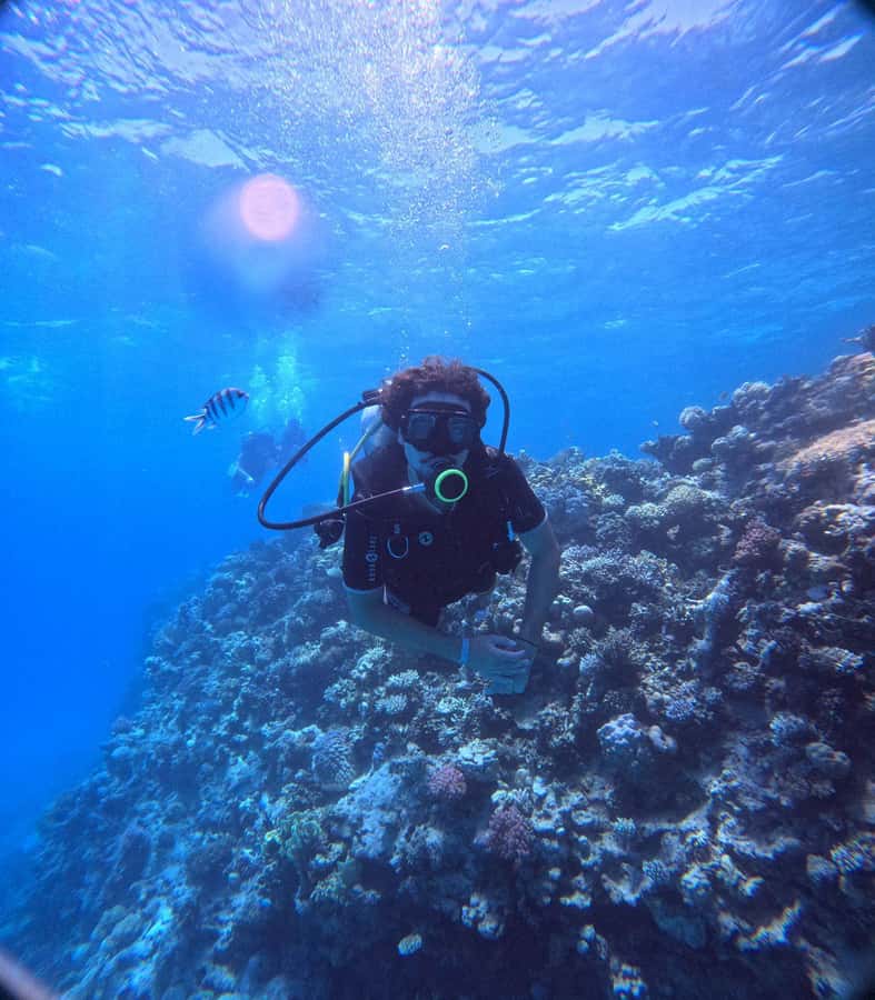 Museum Diving Experience in the Red Sea - Who should book this and who should look elsewhere