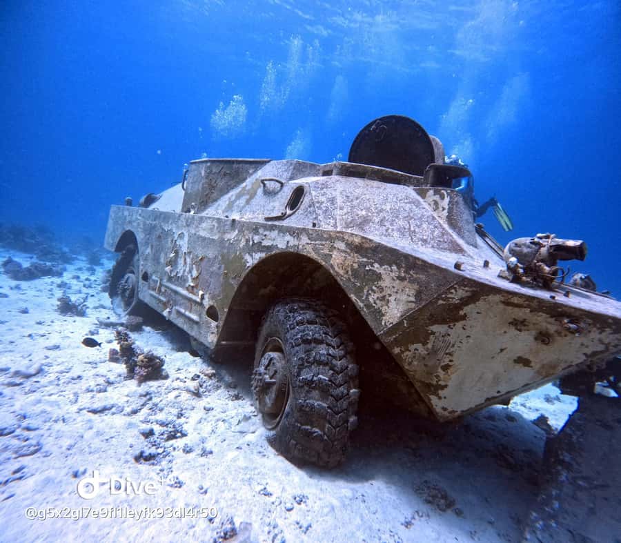 Museum Diving Experience in the Red Sea - Should you book the Museum Scuba Experience in the Red Sea?