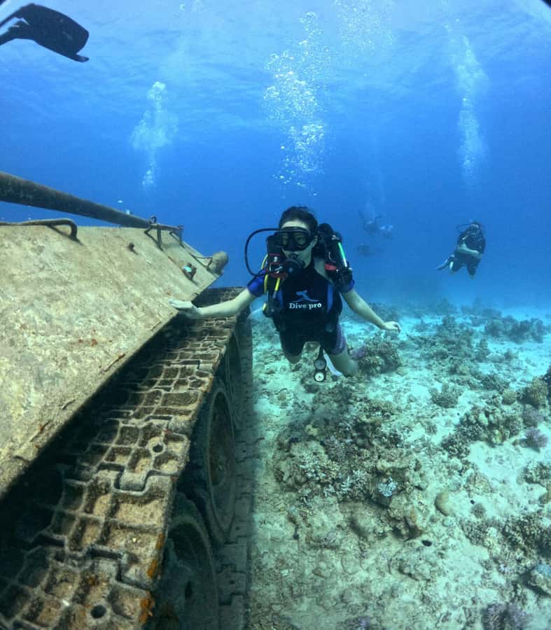 Museum Diving Experience in the Red Sea - The day’s pacing: pickup, land stops, and getting to the water
