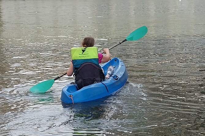 Nile River Kayaking in Cairo with Instructor - Meeting Point in Zamalek: Easy Start, Simple Plan