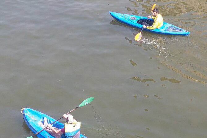 Nile River Kayaking in Cairo with Instructor - Who This Is Best For (And Who Might Feel Underwhelmed)