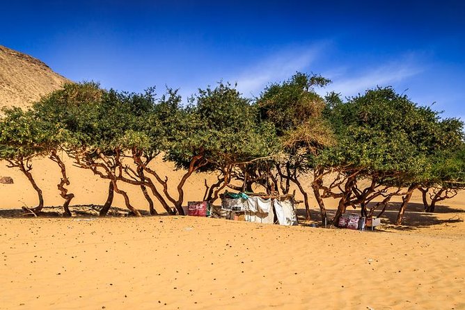 Nubian Village by Motorboat In Aswan - Should You Book This Tour or Not?
