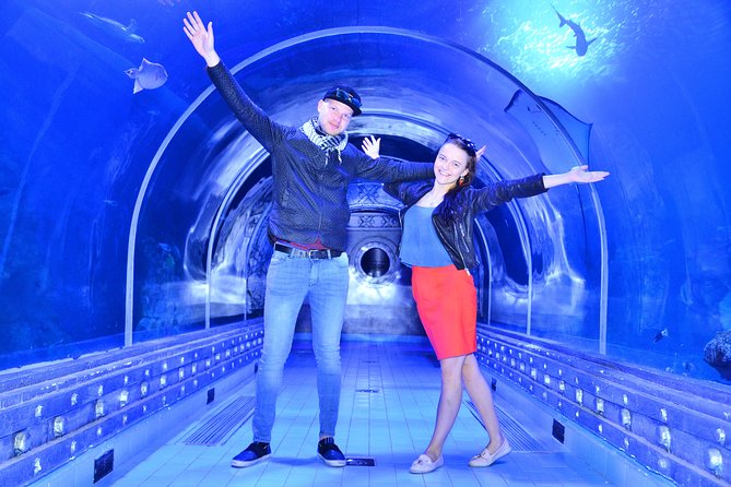 Official Account: Hurghada Grand Aquarium Entrance Tickets - Food and drink: plan your snack strategy