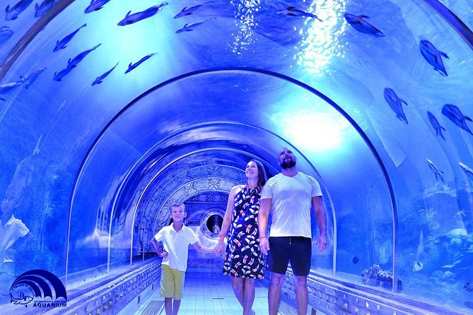 Official Account: Hurghada Grand Aquarium Entrance Tickets - Mobile ticket reality: prebooking helps, but entry isn’t always effortless