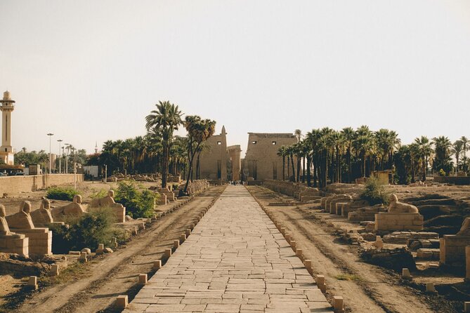 One day trip to Luxor From Hurghada with a private guide - Lunch, Nile Views, and the Horse-and-Carriage Break