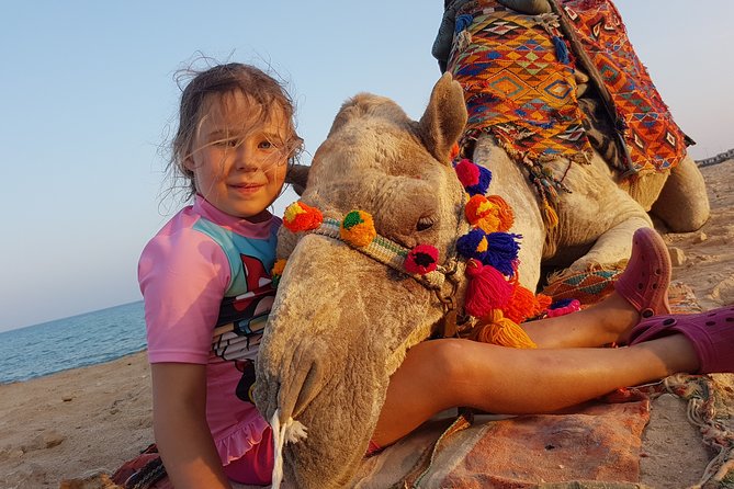One hour Camel Ride At Amazing Desert With Transfer - Hurghada - Family-friendly details that actually help