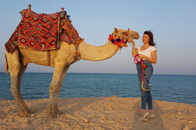 One hour Camel Ride At Amazing Desert With Transfer - Sharm El Sheikh - Hotel Transfer, Group Size, and Why “Two Hours” Can Feel Longer