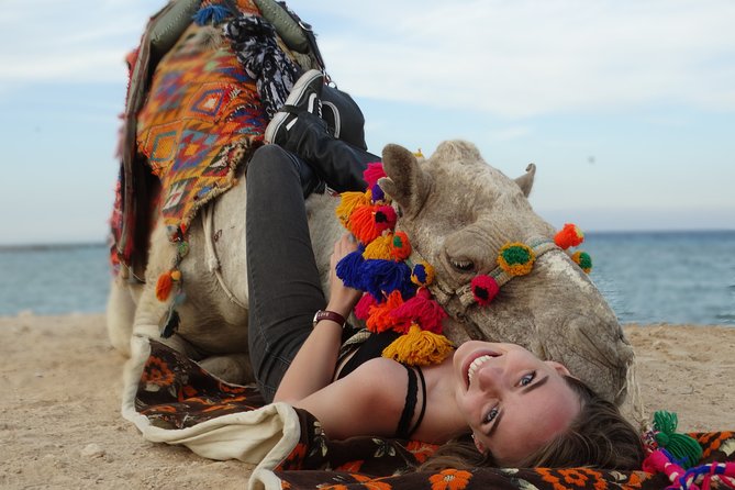 One hour Camel Ride At Amazing Marsa Alam Desert with transfer - Marsa Alam - Key Things I’d Focus On Before You Book