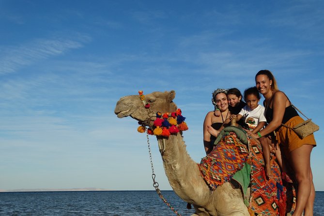 One hour Camel Ride At Amazing Marsa Alam Desert with transfer - Marsa Alam - Marsa Alam Desert Camel Ride With Transfer: What the 2-Hour Block Means