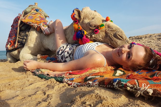 One hour Camel Ride At Amazing Marsa Alam Desert with transfer - Marsa Alam - Price and Value: How $20 Adds Up (And What You May Pay On Spot)