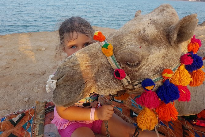 One hour Camel Ride At Amazing Marsa Alam Desert with transfer - Marsa Alam - Hotel Pickup, Air-Conditioned Vehicle, and the Practical Timing