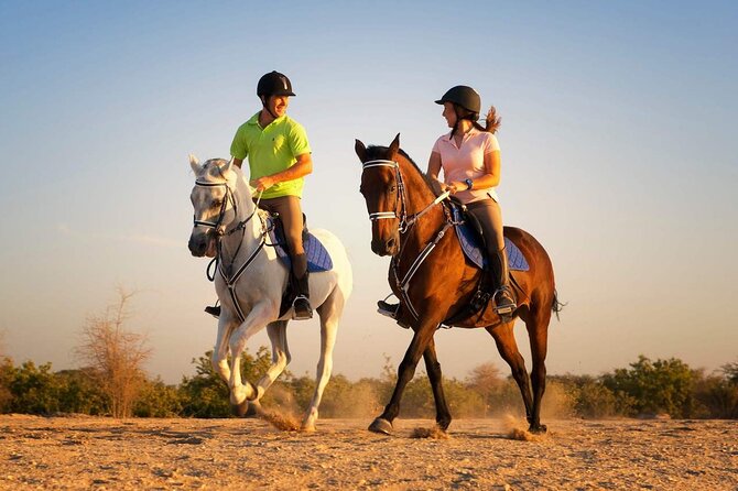 One Hour Desert Horseback Riding Adventure From Sharm El Sheikh - Key highlights