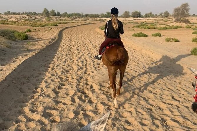 One Hour Desert Horseback Riding Adventure From Sharm El Sheikh - Why a One-Hour Desert Ride Works So Well From Sharm El Sheikh