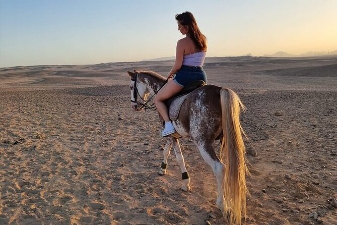 One Hour Desert Horseback Riding Adventure From Sharm El Sheikh - The One Hour on Desert: What You’ll See and How the Pace Feels