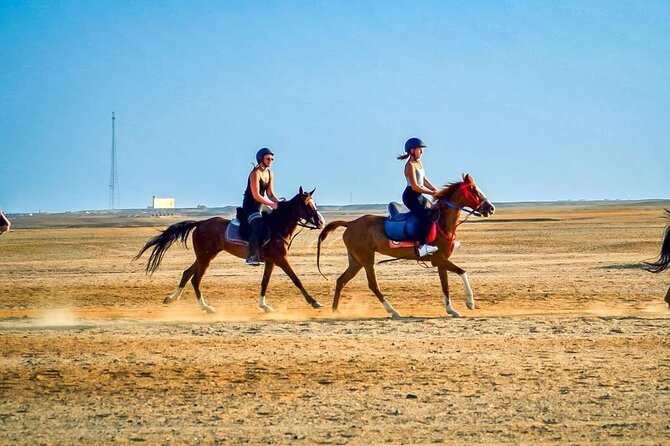 One Hour Desert Horseback Riding Adventure From Sharm El Sheikh - Who This Tour Fits Best—and Who Should Think Twice