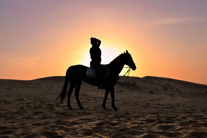 One Hour Desert Horseback Riding Adventure From Sharm El Sheikh - Tips to Make Your One Hour More Comfortable