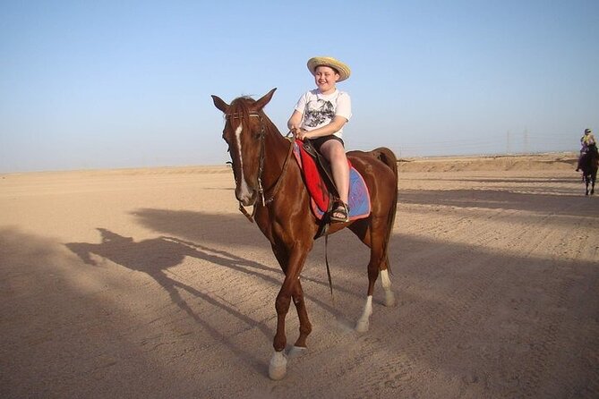 One Hour Horse or Camel Riding with Transfer- Sharm El-Sheikh - Key Things I’d Watch For Before You Go