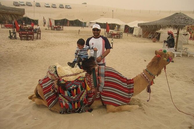 One Hour Horse or Camel Riding with Transfer- Sharm El-Sheikh - One Hour on Horse or Camel: What the Guided Route Feels Like